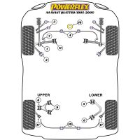 Powerflex Road Series passend fr Audi S4 inc. Avant (2001-2005) Stabilisator hinten 16mm